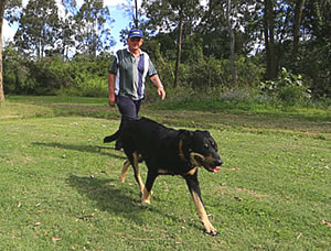 Dog walking area