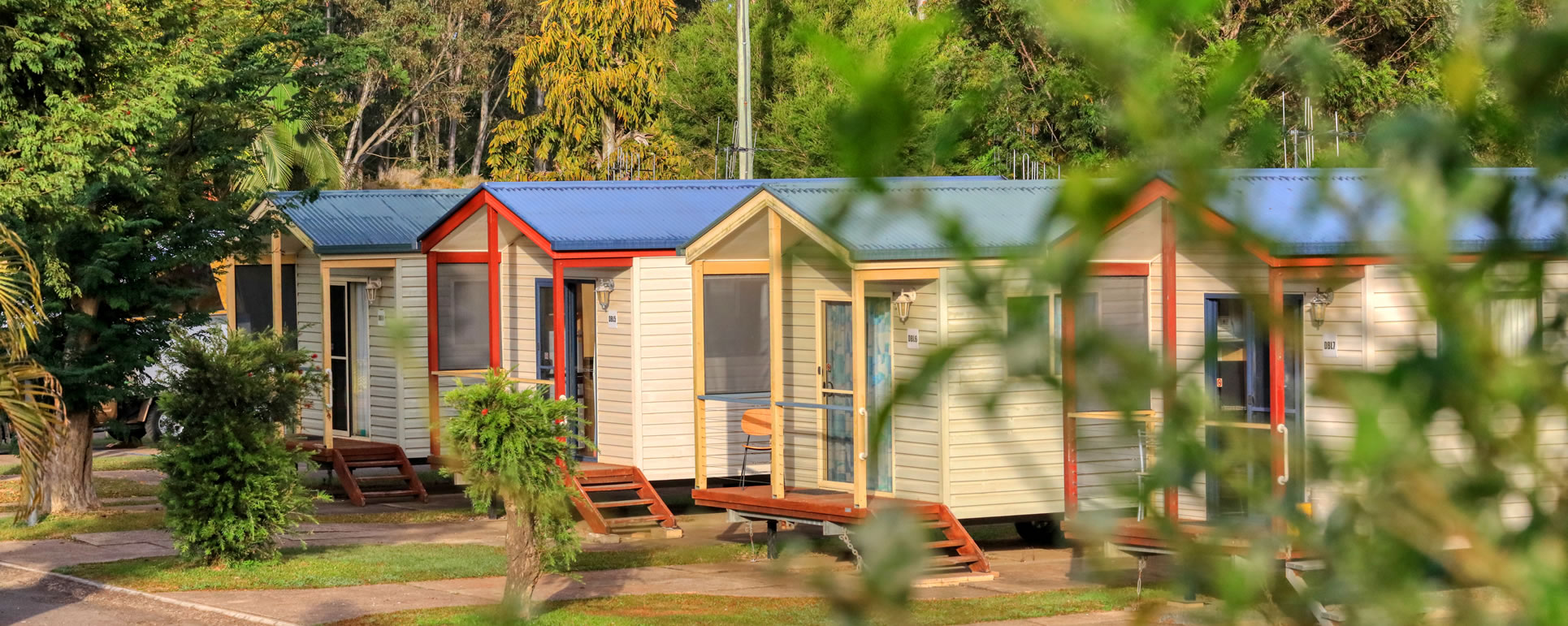 Pet friendly cabins